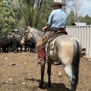 Meet your Posher, Jim